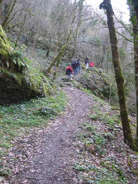 Copie (1) de IMG_2484.jpg